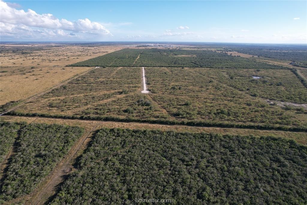 161 Cornerstone Ranch Property Photo 21