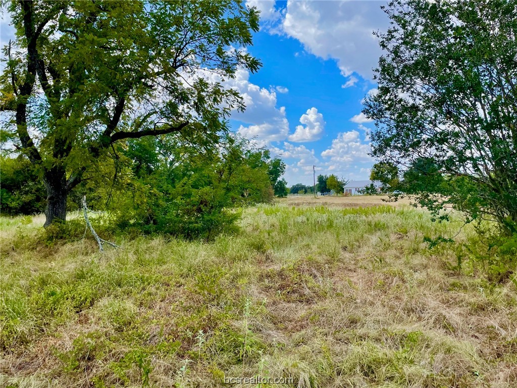 281 E Fm 979 Property Photo 1