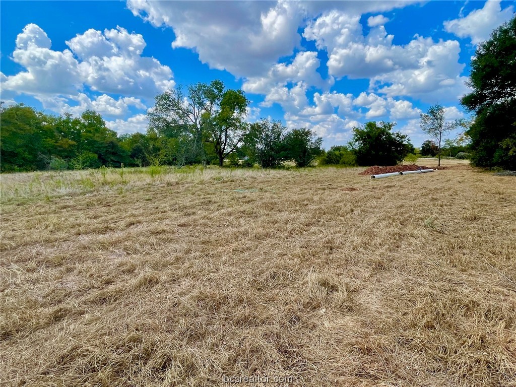 281 E Fm 979 Property Photo 3