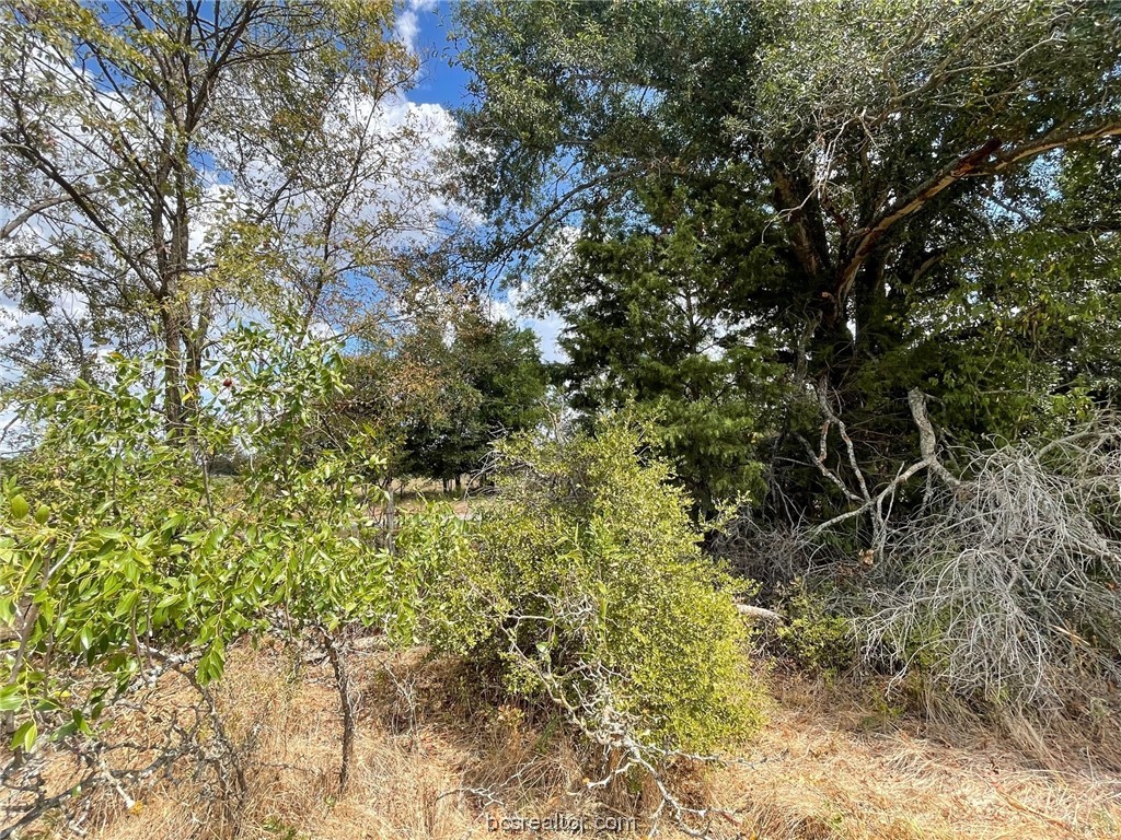 281 E Fm 979 Property Photo 4