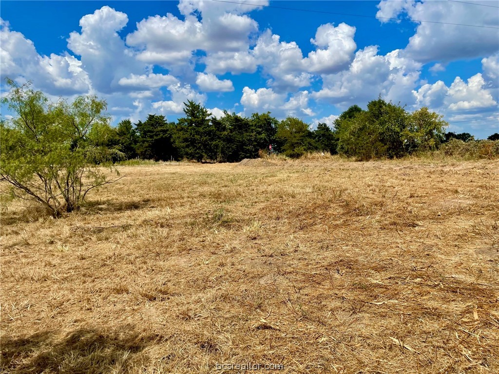 281 E Fm 979 Property Photo 5