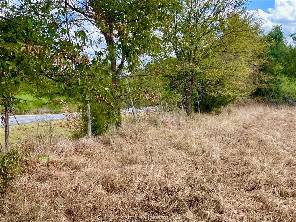 281 E Fm 979 Property Photo 6