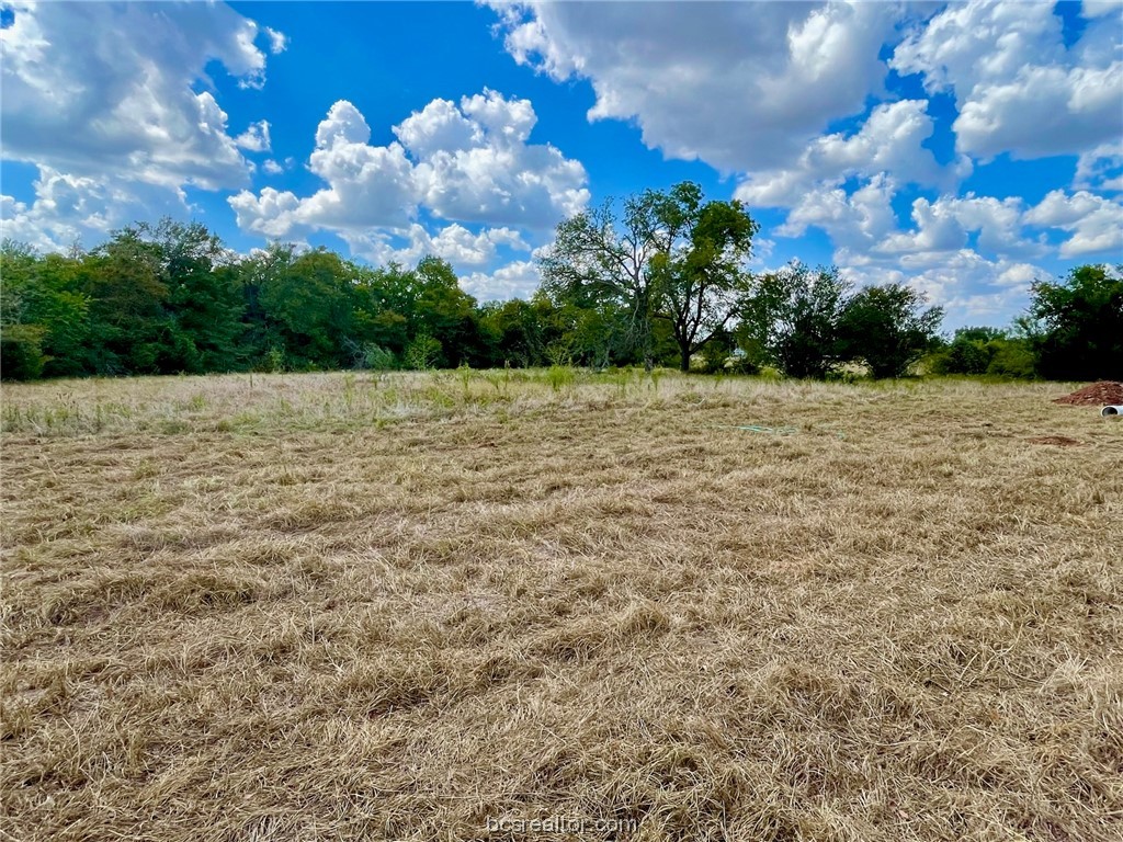 281 E Fm 979 Property Photo 8