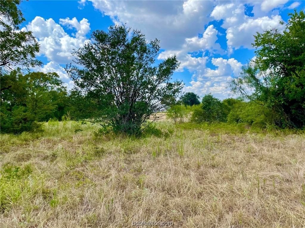 281 E Fm 979 Property Photo 9