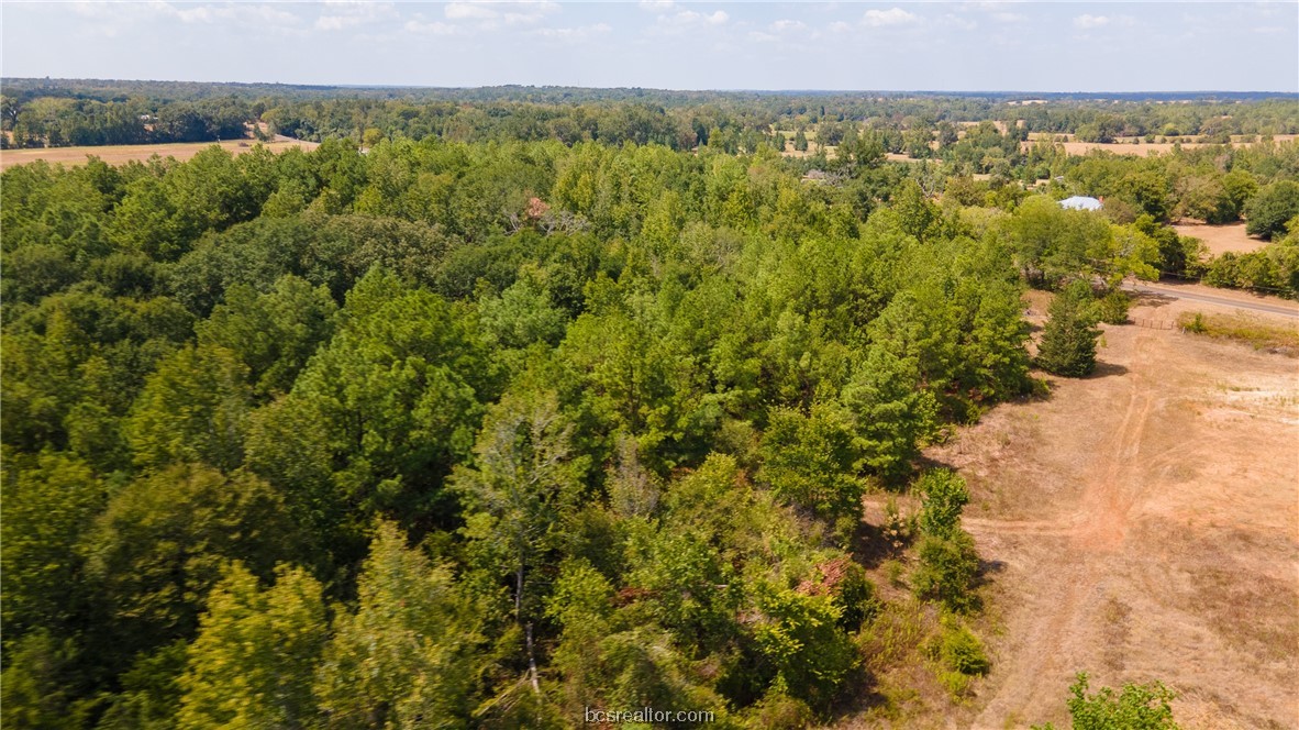 Lot 1 Fm 977 Property Photo 7