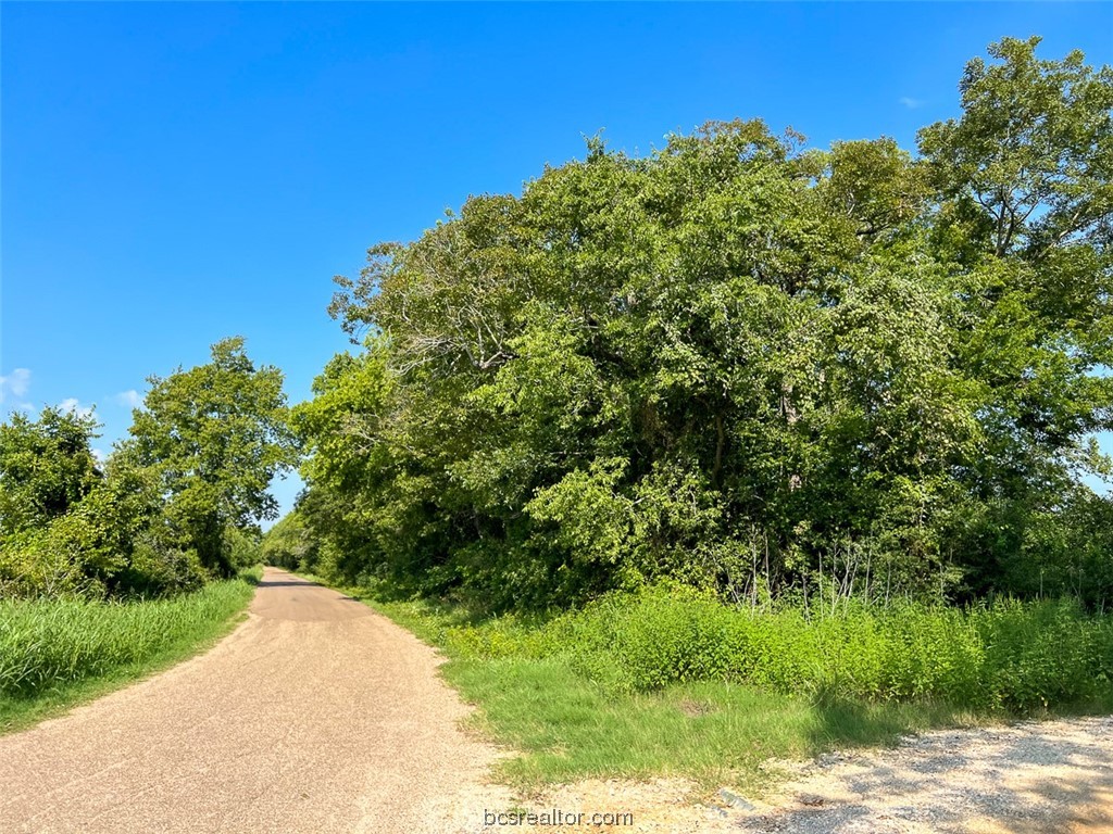 0 Cr 328 County Road Property Photo 1