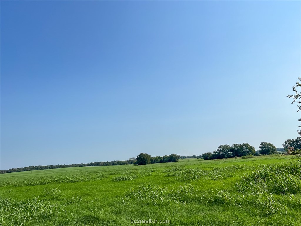 0 Cr 328 County Road Property Photo 3