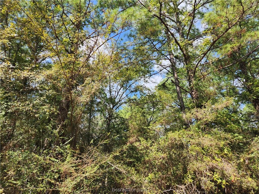 Lot 26 & 27 Eagle Ln. Property Photo 2