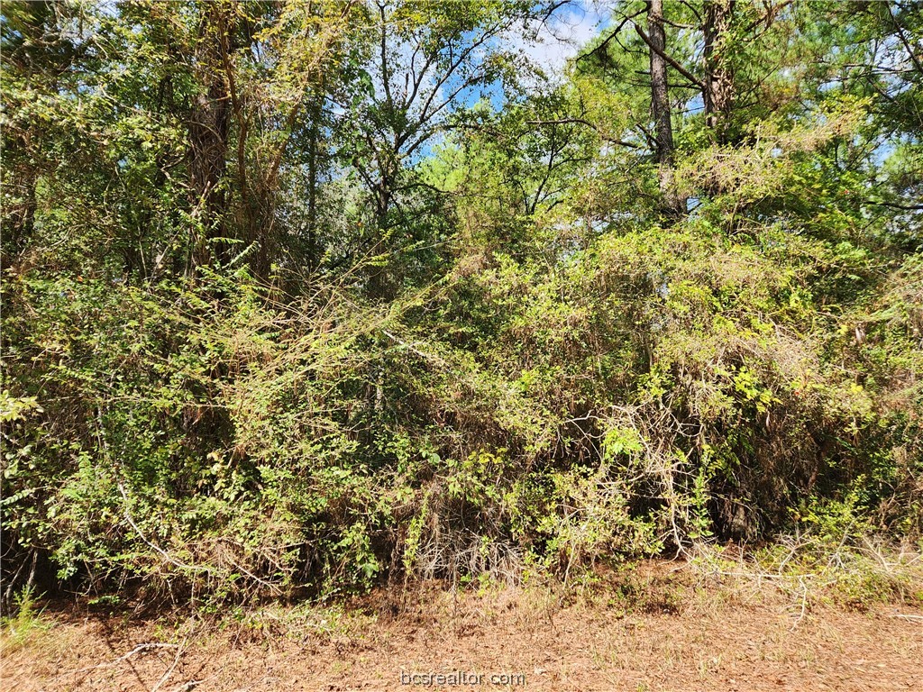Lot 26 & 27 Eagle Ln. Property Photo 3