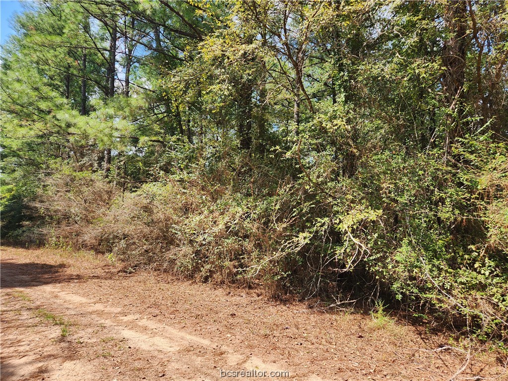 Lot 26 & 27 Eagle Ln. Property Photo 4