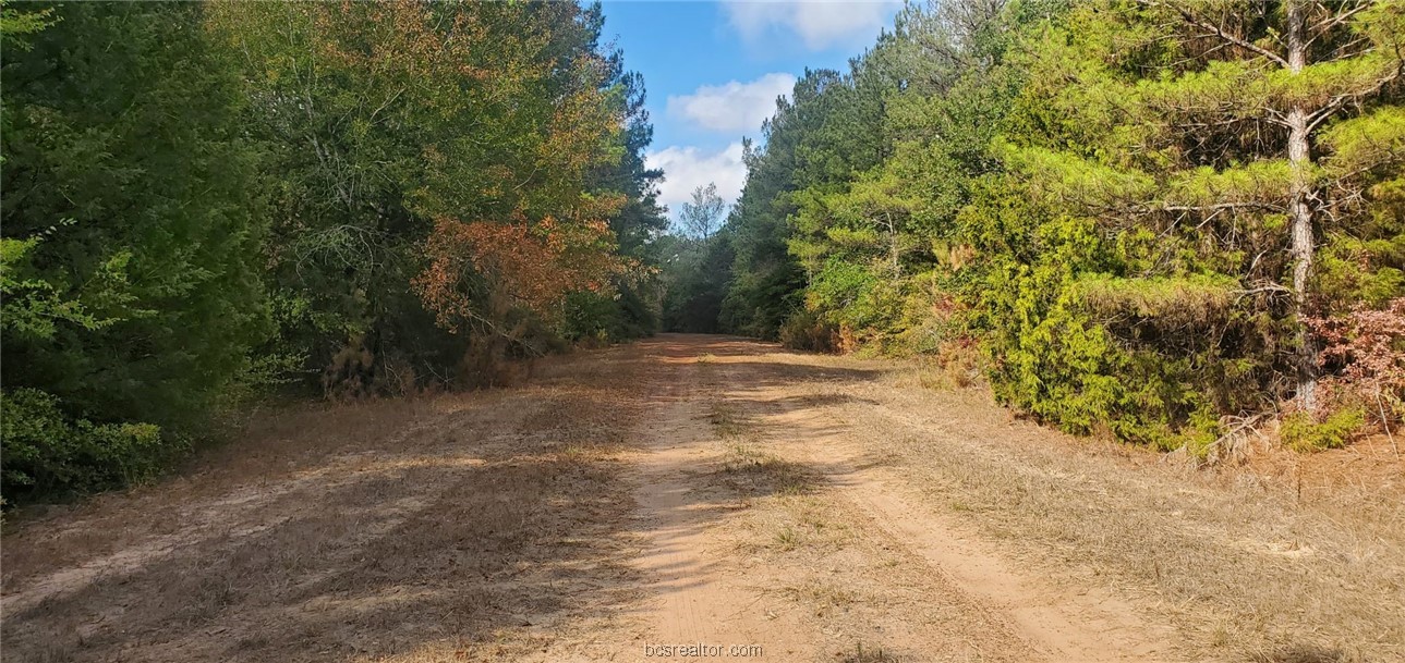 Lot 26 & 27 Eagle Ln. Property Photo 5