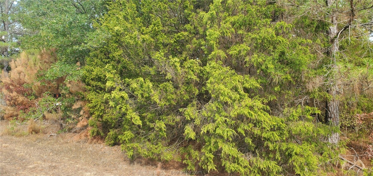 Lot 26 & 27 Eagle Ln. Property Photo 10
