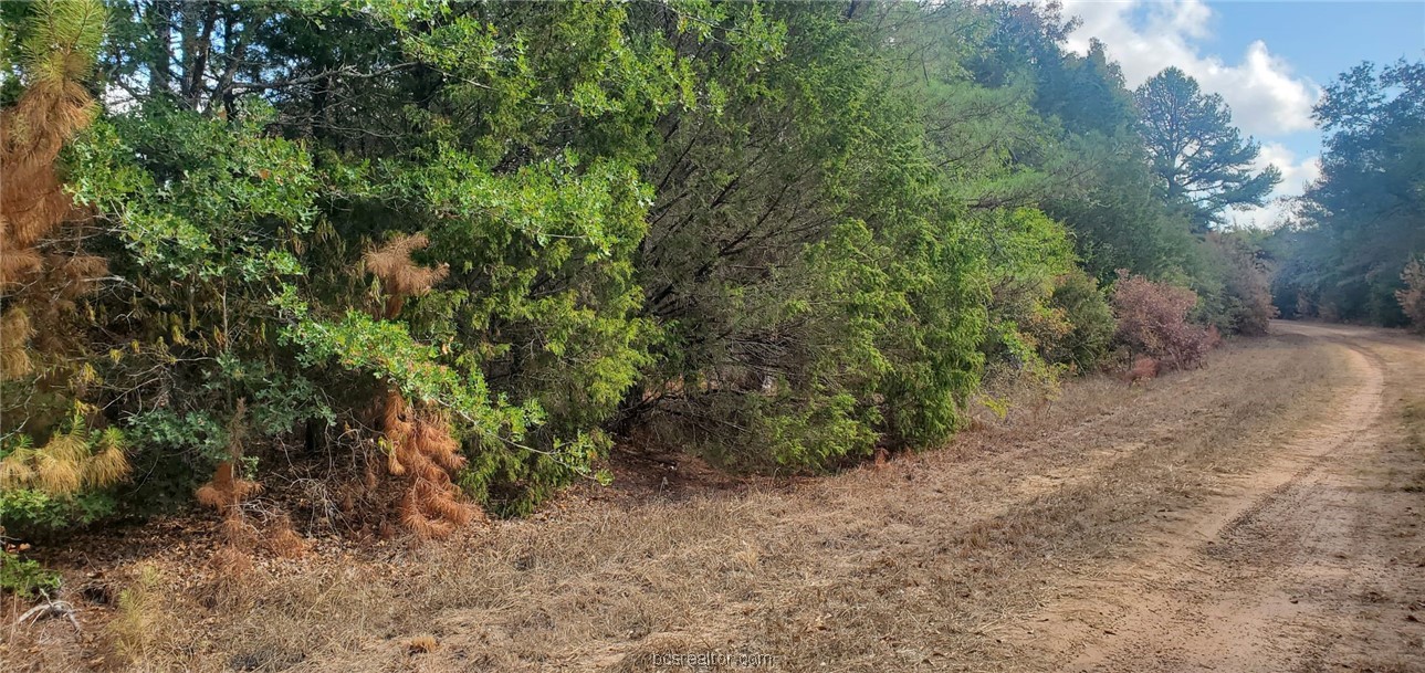 Lot 26 & 27 Eagle Ln. Property Photo 12