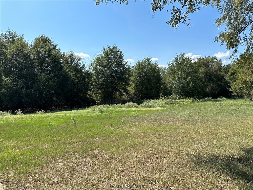 Tract 2 Tbd Fcr 296 Property Photo 4