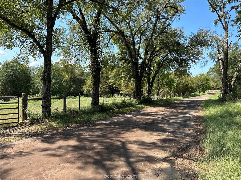Tract 2 Tbd Fcr 296 Property Photo 5