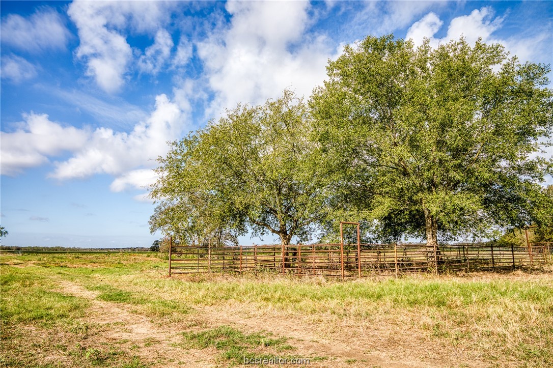 1211 Cr 273 County Road Property Photo