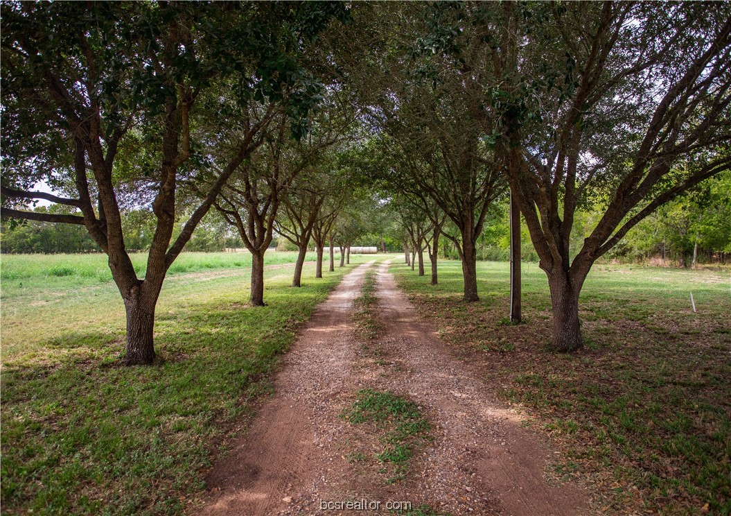 2401 Brazos River Lane Property Photo 4