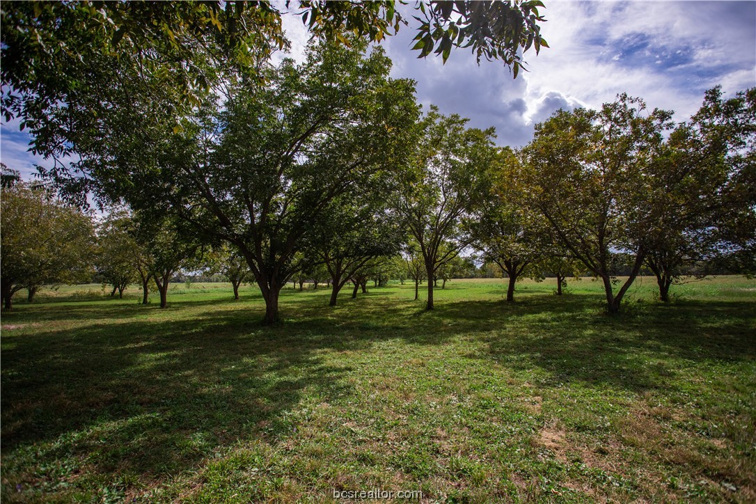2401 Brazos River Lane Property Photo 19