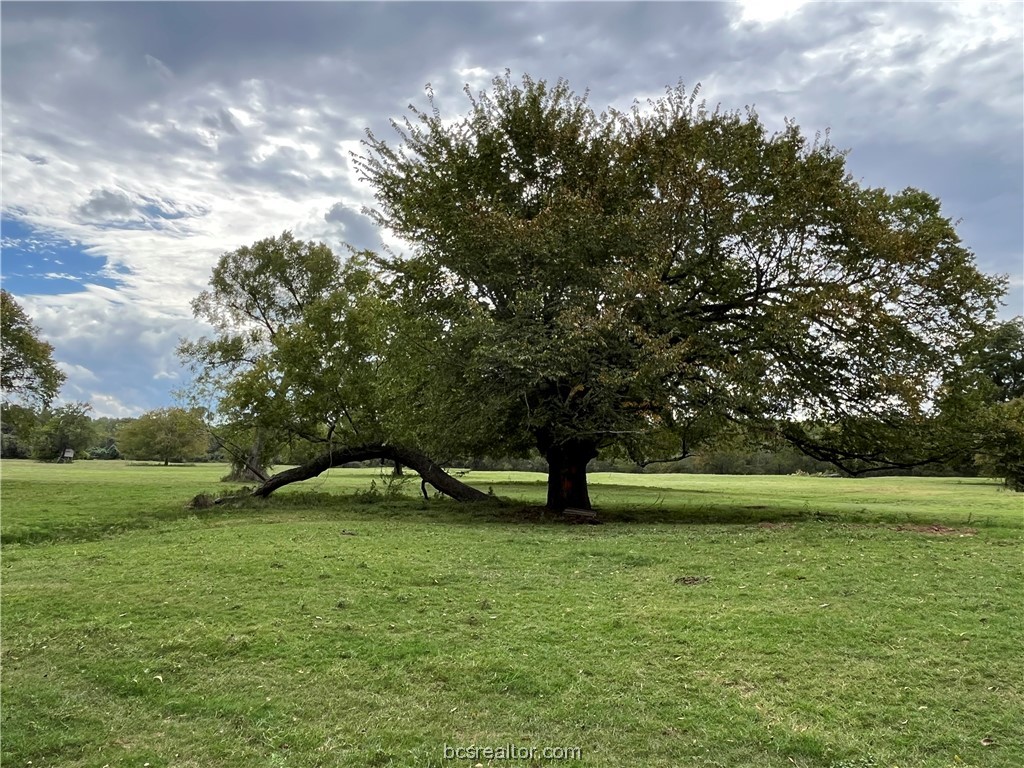 2401 Brazos River Lane Property Photo 20