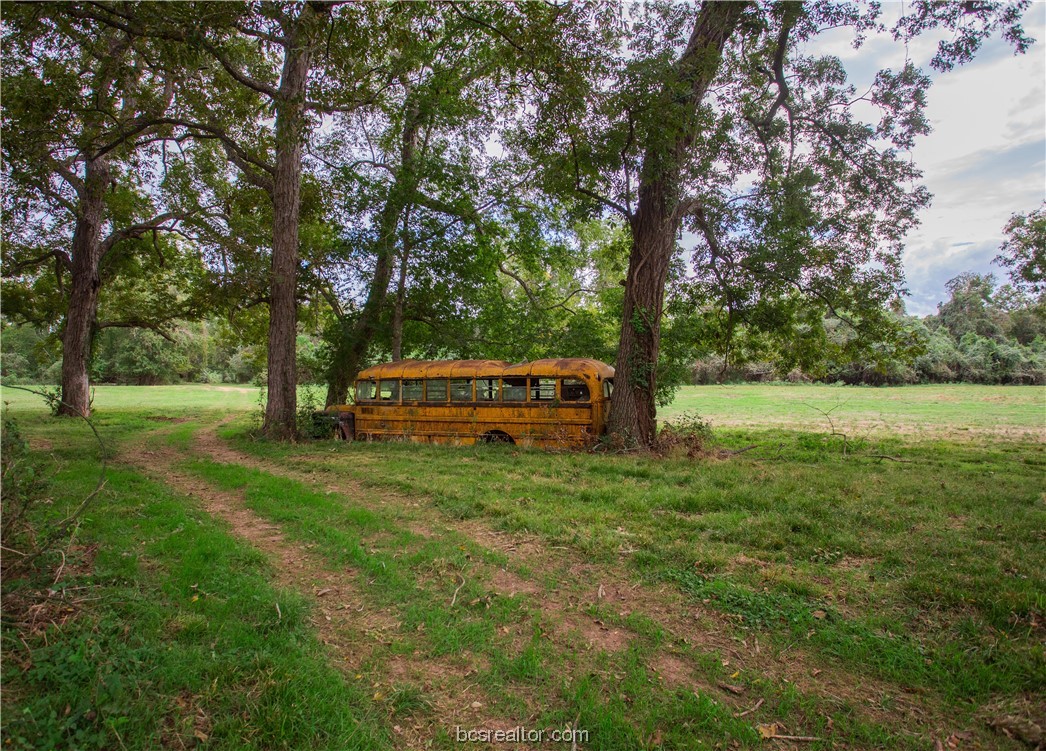 2401 Brazos River Lane Property Photo 25