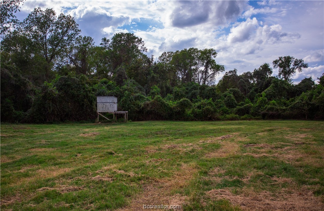 2401 Brazos River Lane Property Photo 27