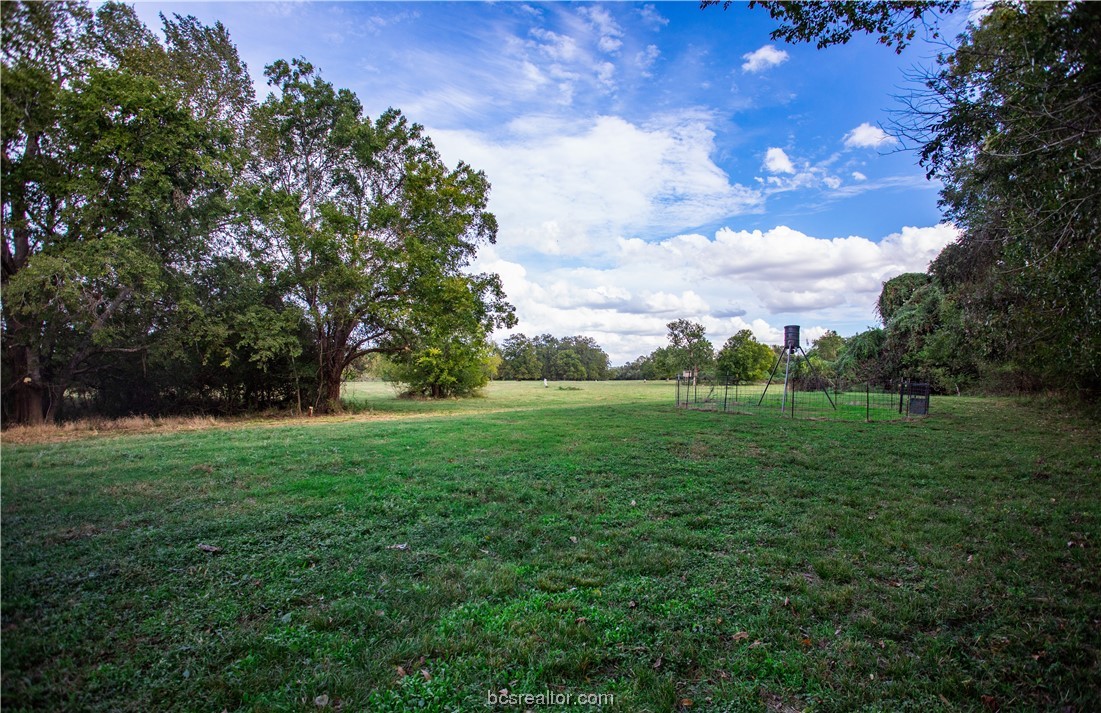 2401 Brazos River Lane Property Photo 28