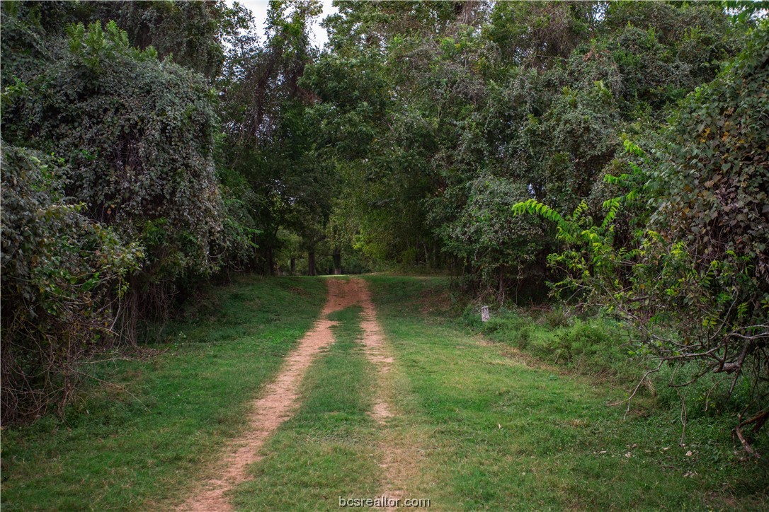 2401 Brazos River Lane Property Photo 29