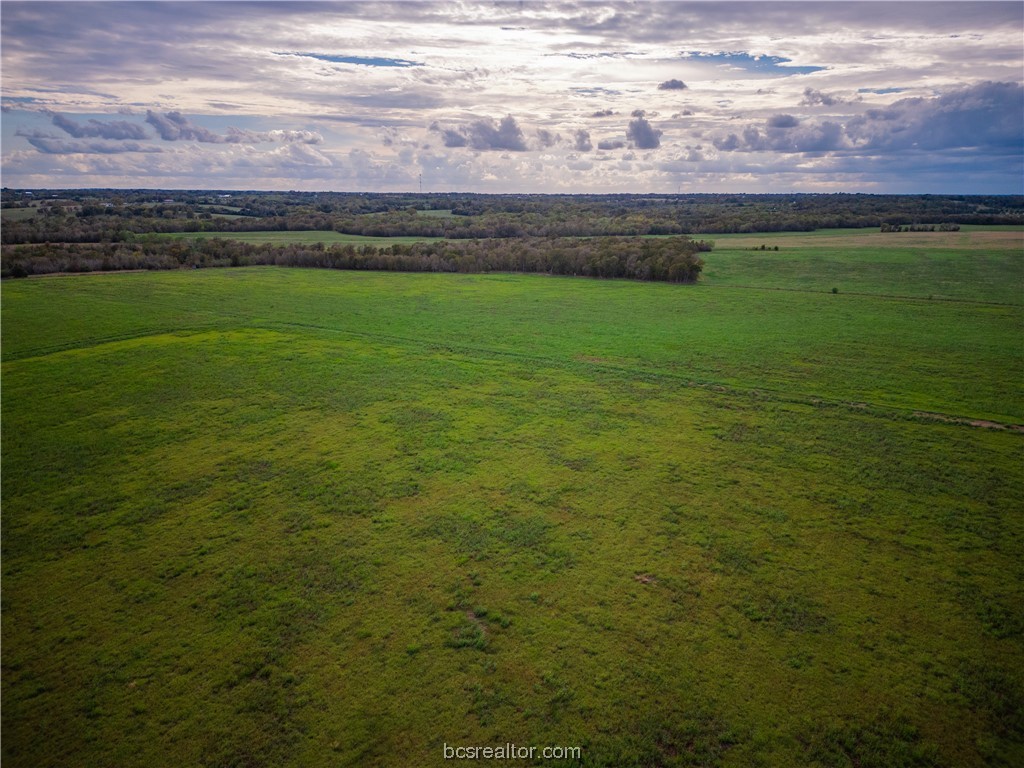 2401 Brazos River Lane Property Photo 31