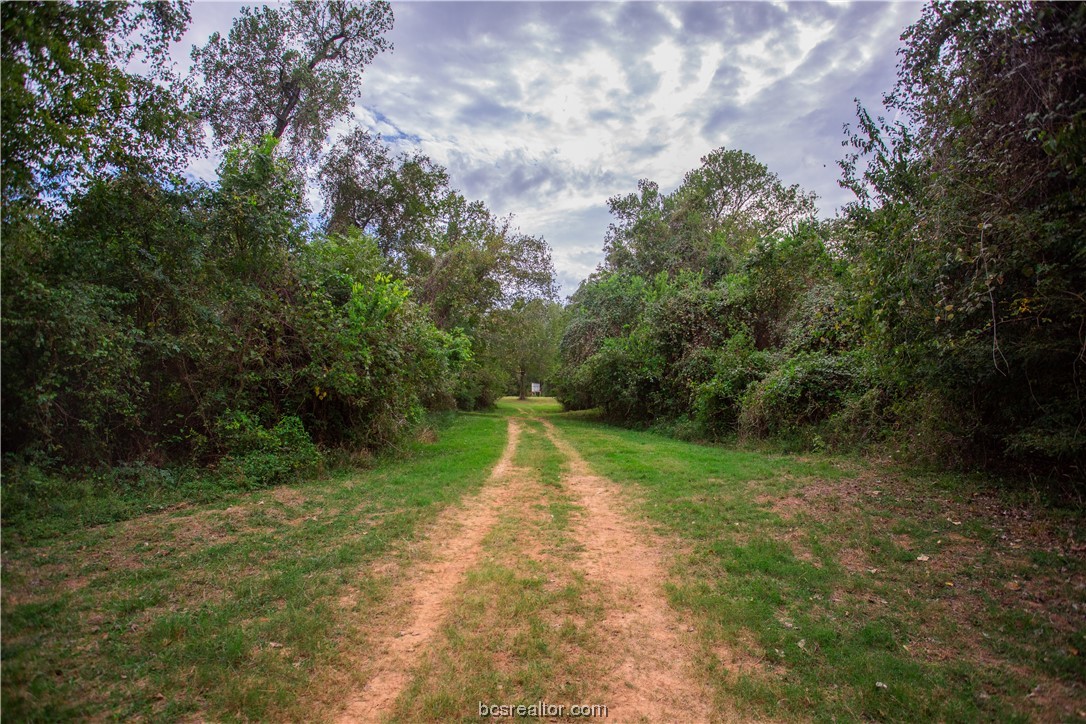 2401 Brazos River Lane Property Photo 34