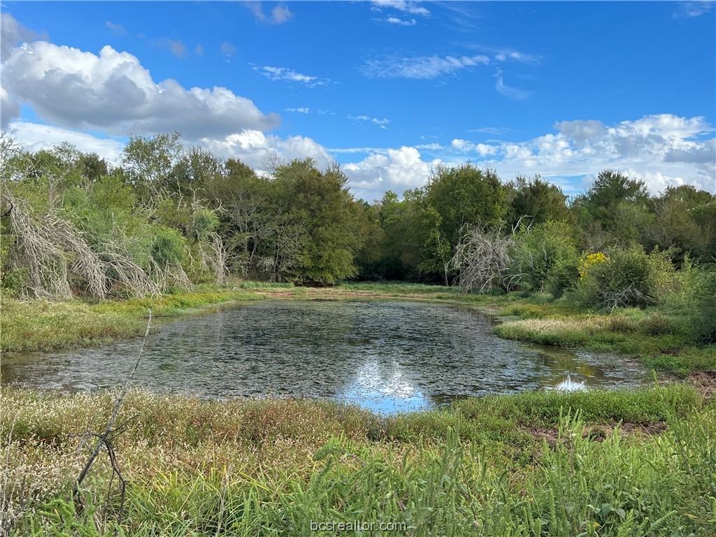 2401 Brazos River Lane Property Photo 35