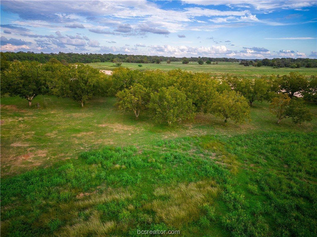 2401 Brazos River Lane Property Photo 44