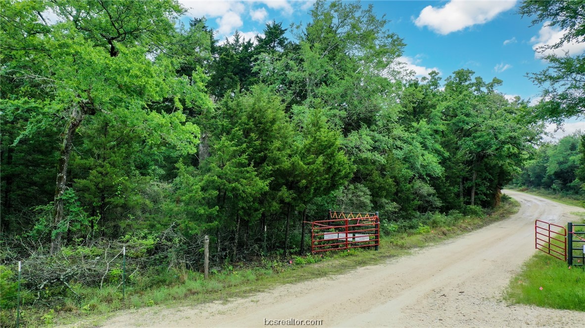 38.28 Ac Pr 5787 Fm 937 Off Road Property Photo 5