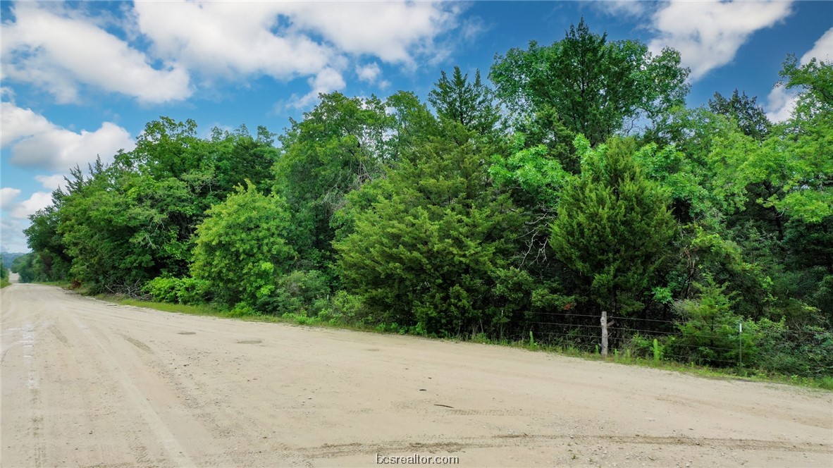 38.28 Ac Pr 5787 Fm 937 Off Road Property Photo 6