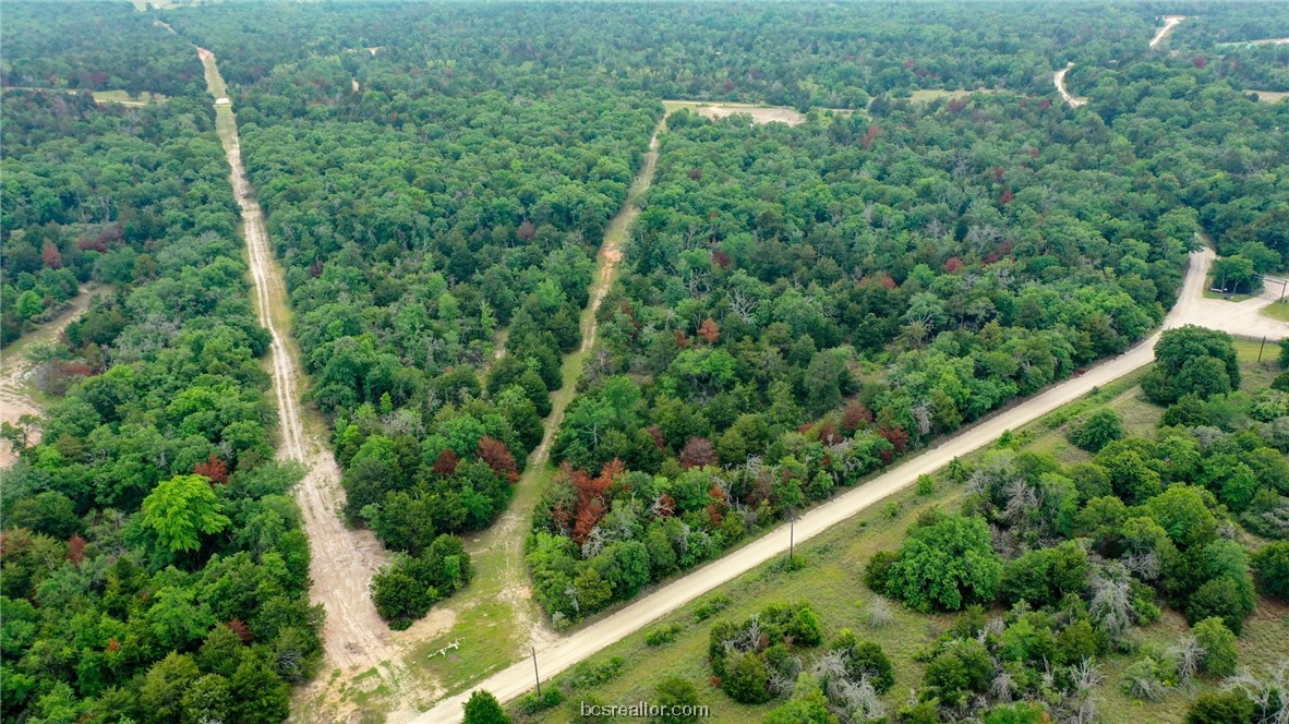 38.28 Ac Pr 5787 Fm 937 Off Road Property Photo 8