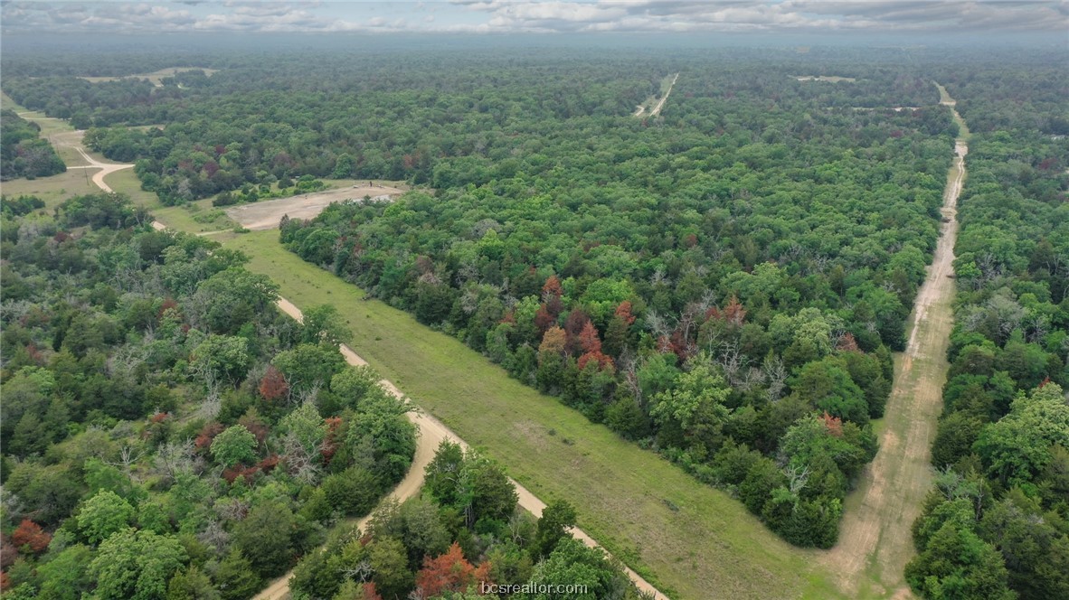 38.28 Ac Pr 5787 Fm 937 Off Road Property Photo 9