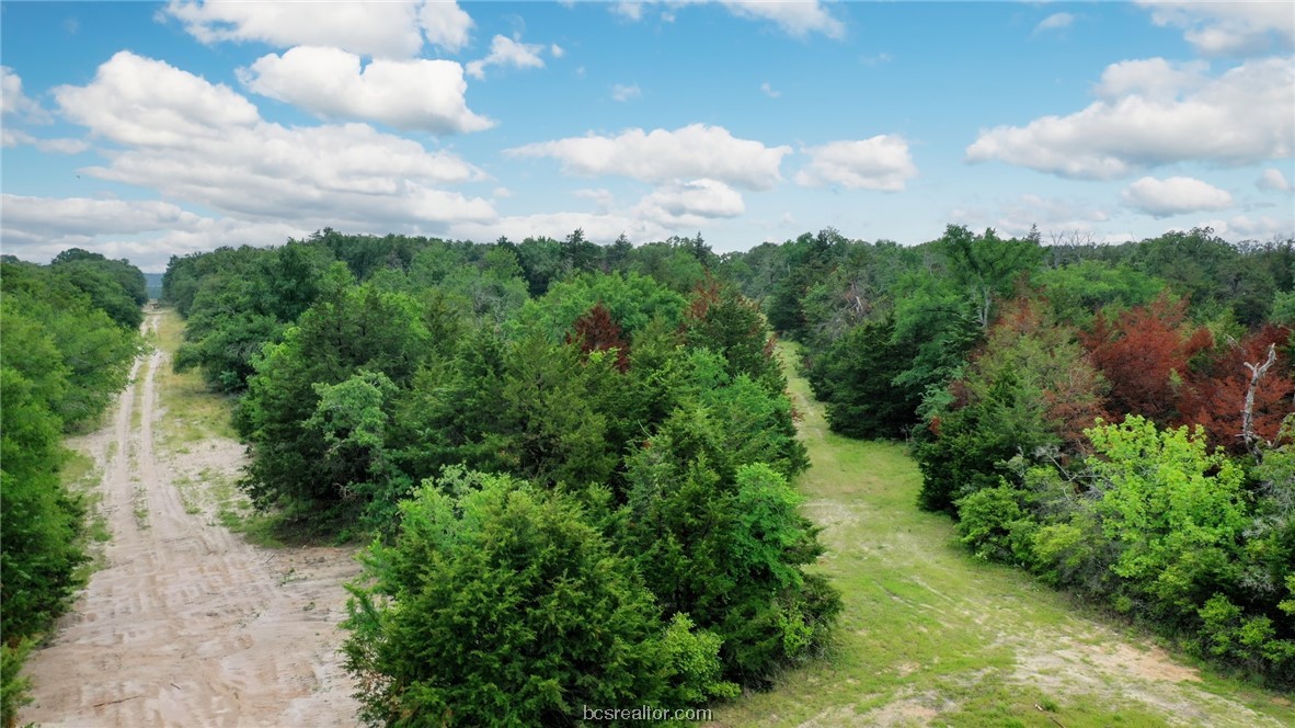 38.28 Ac Pr 5787 Fm 937 Off Road Property Photo 13
