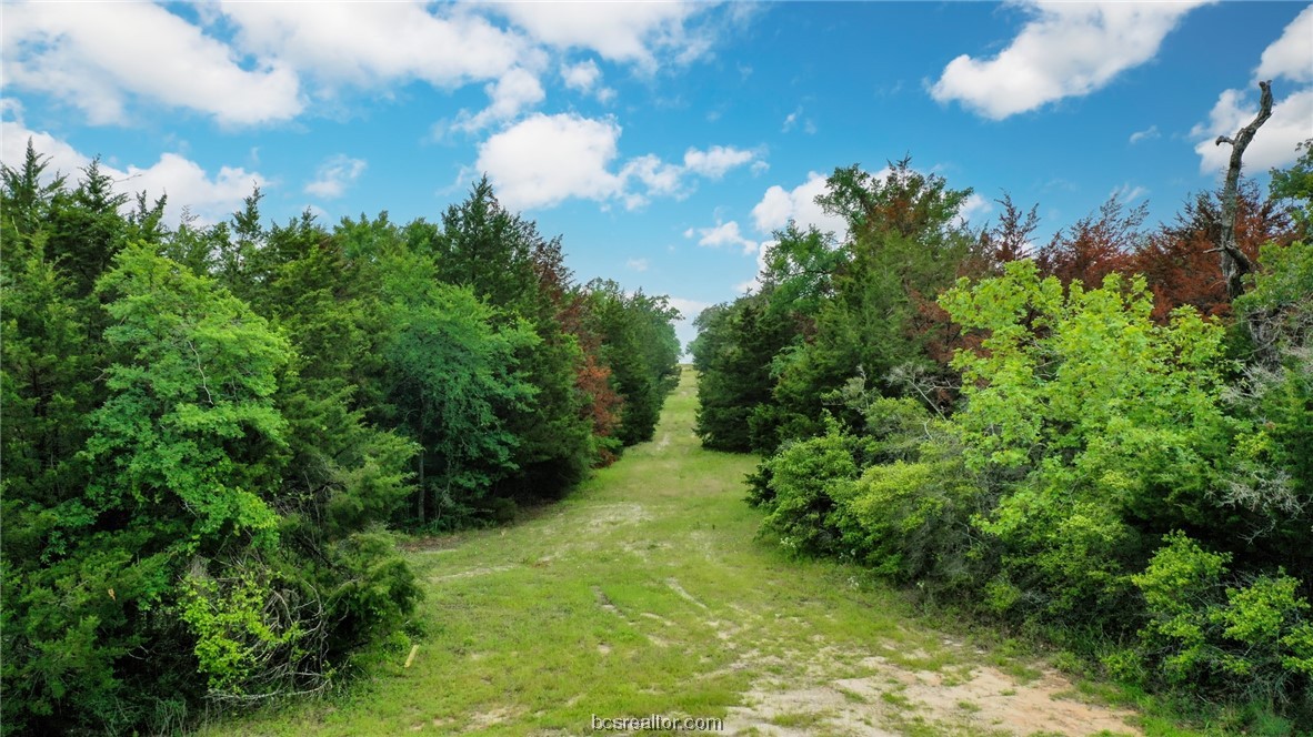 38.28 Ac Pr 5787 Fm 937 Off Road Property Photo 14