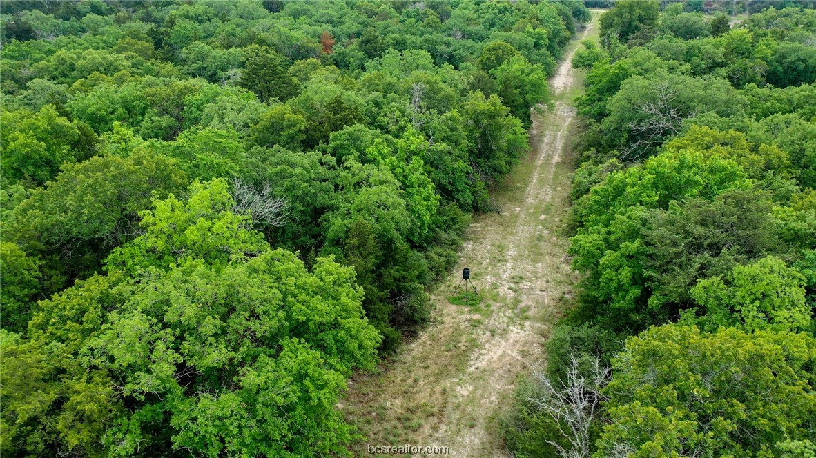 38.28 Ac Pr 5787 Fm 937 Off Road Property Photo 15