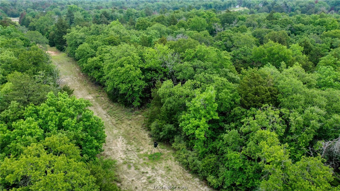 38.28 Ac Pr 5787 Fm 937 Off Road Property Photo 16