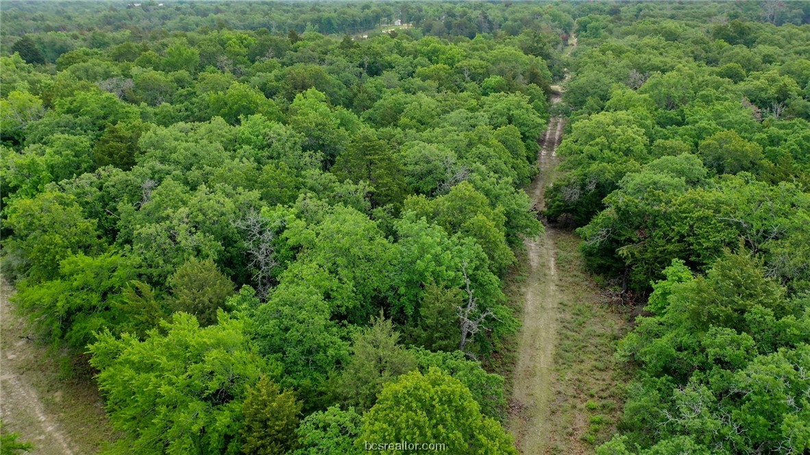 38.28 Ac Pr 5787 Fm 937 Off Road Property Photo 17