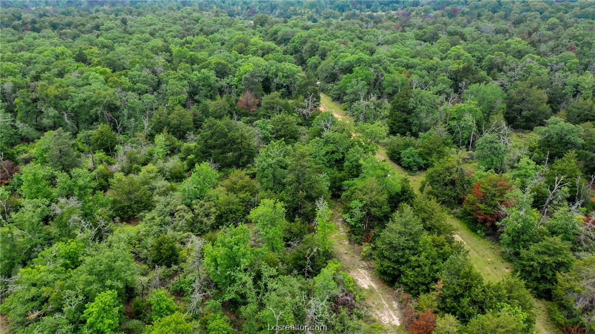 38.28 Ac Pr 5787 Fm 937 Off Road Property Photo 18