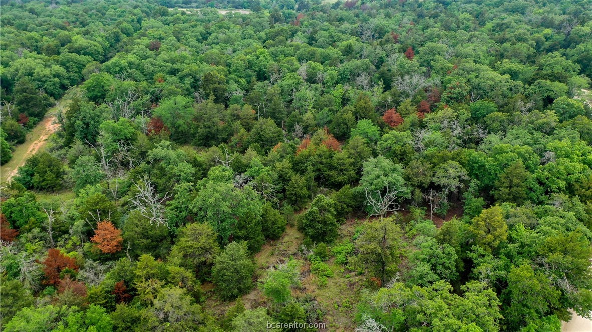 38.28 Ac Pr 5787 Fm 937 Off Road Property Photo 19
