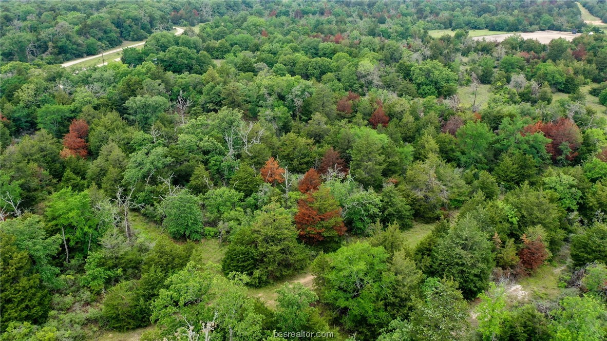 38.28 Ac Pr 5787 Fm 937 Off Road Property Photo 20