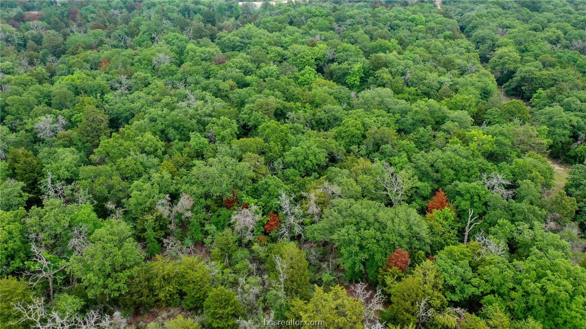 38.28 Ac Pr 5787 Fm 937 Off Road Property Photo 21