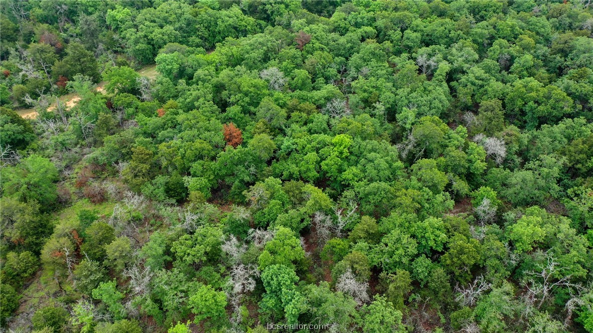 38.28 Ac Pr 5787 Fm 937 Off Road Property Photo 23