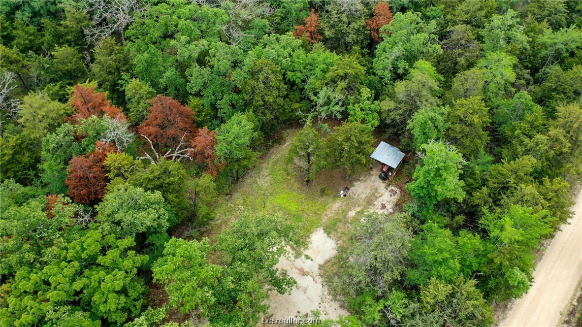 38.28 Ac Pr 5787 Fm 937 Off Road Property Photo 24