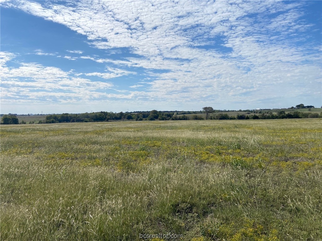 Tr 13 Caney Creek Road Property Photo