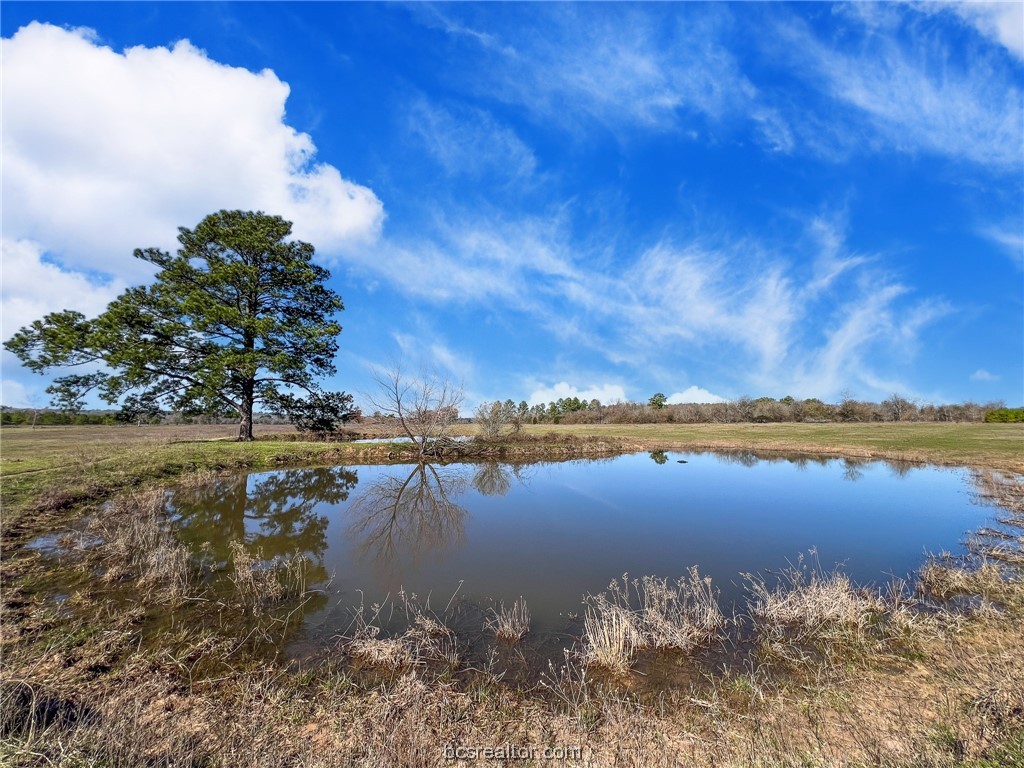 20 Acres County Rd 216 Property Photo