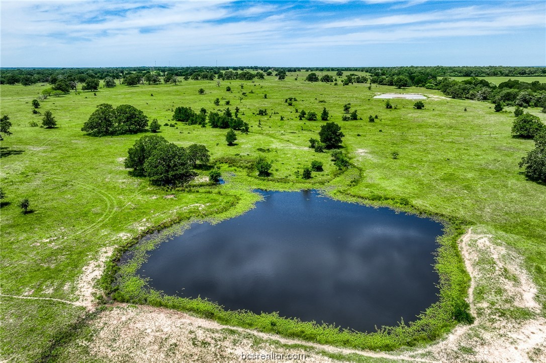 Tbd (+/- 80 Acres) County Road 423 Property Photo