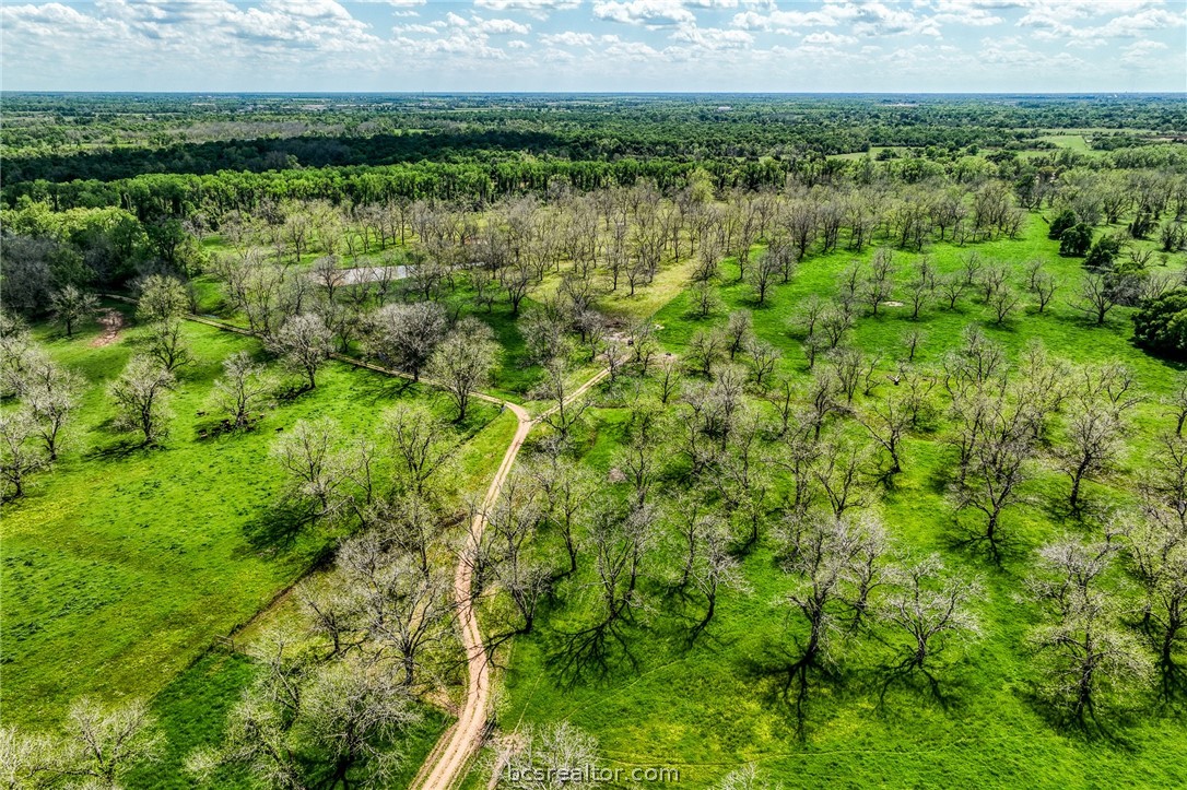 42493 Fm 1458 Road Property Photo 7
